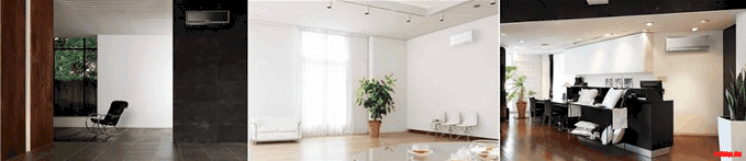 présentation msz ef