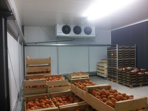 entretien chambre froide