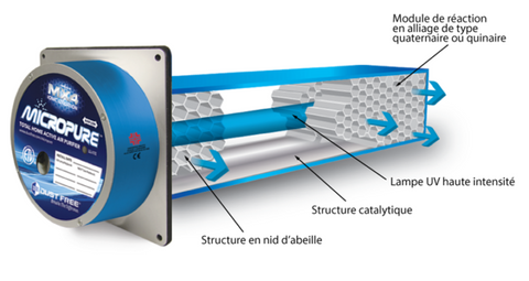 Désinfection dustfree koolnova