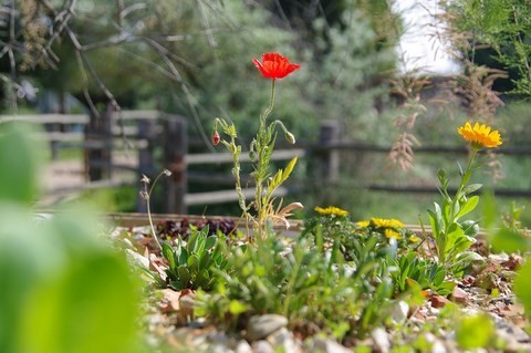 climatiser naturellement