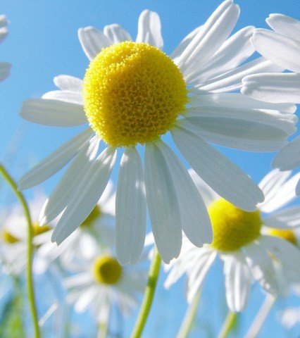 qualité de la ventilation
